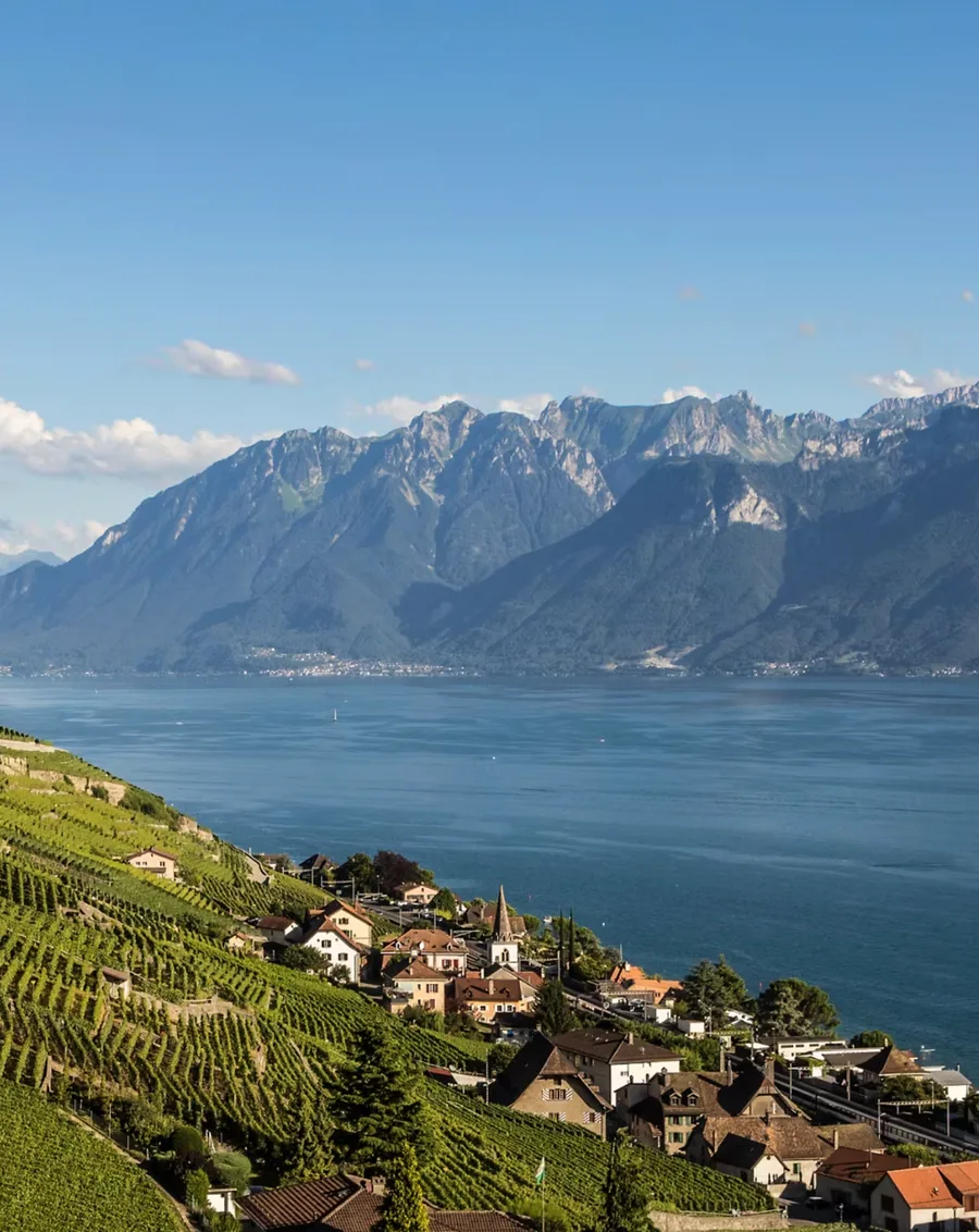 Les terrasses de Lavaux au-dessus du Léman, Suisse